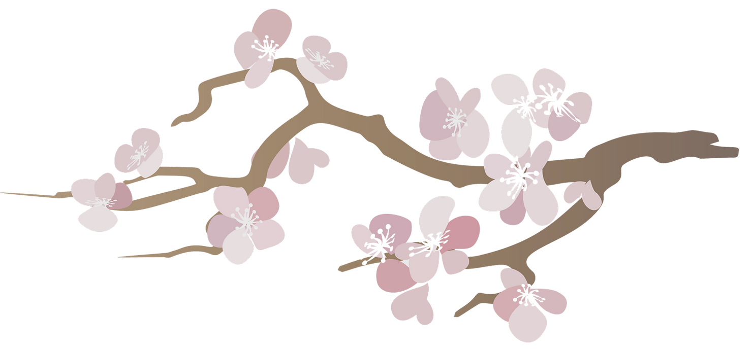 Illustration sakura